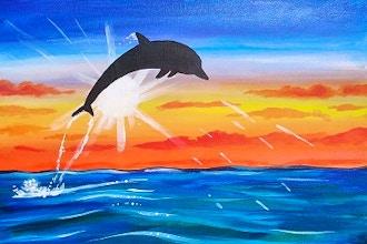 Sunburst Dolphin